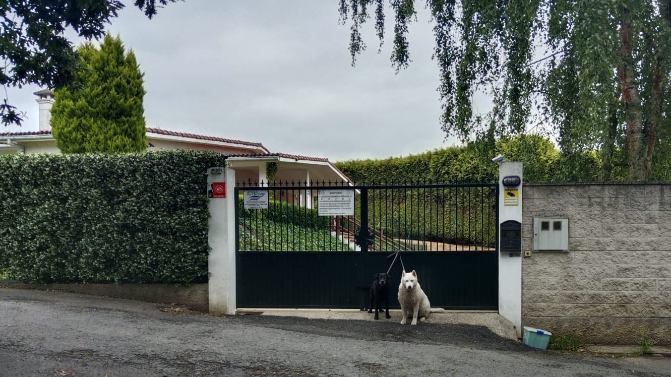 Los perros fueron abandonados a la entrada del centro canino Do Pazo, en Abegondo (A Coruña)