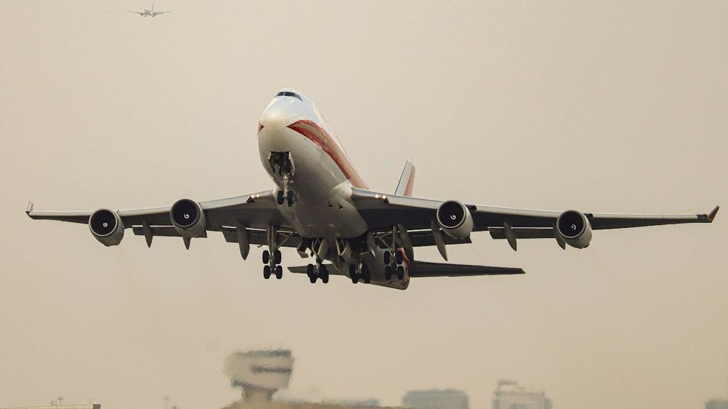 Cada vez más aerolíneas permiten llevar mascotas en el avión