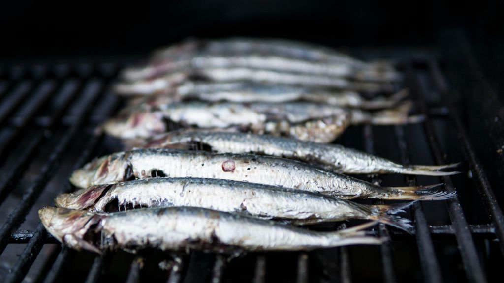 Las sardinas son muy ricas en vitamina B12. FUENTE: Pexels