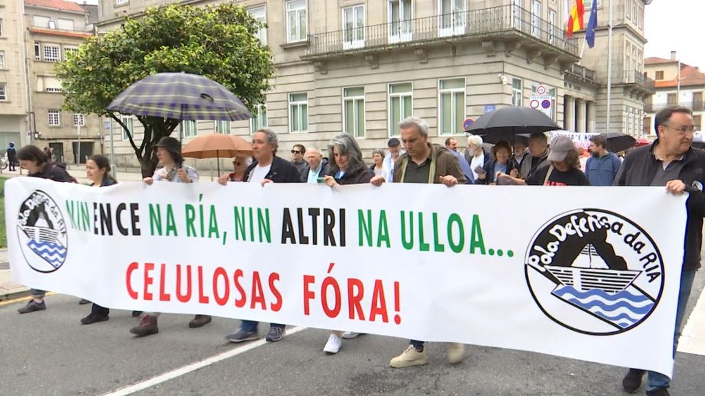 Protesta contra la fábrica de celulosa en Palas de Rey, Lugo