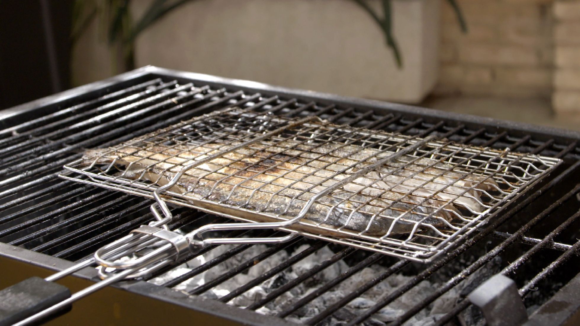 ¡Conoce la forma más habitual para hacer una lubina de 10!