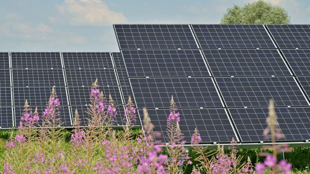 paneles solares fotovoltaicos unsplash