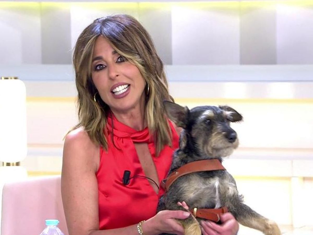 El emotivo momento de Ana Terradillos y su perro Trufa en el plató: "¡Hola, mi vida!"