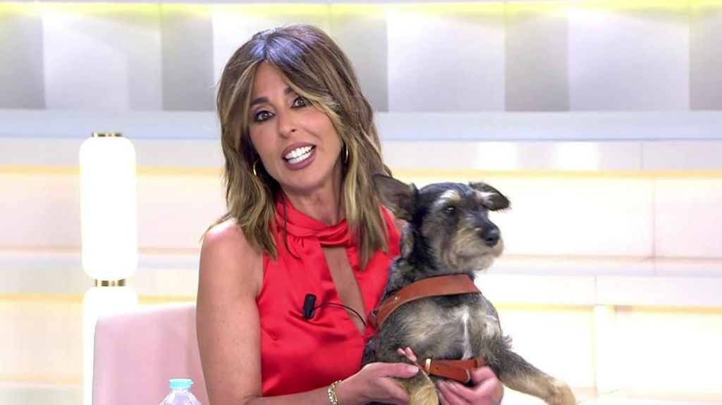 El emotivo momento de Ana Terradillos y su perro Trufa en el plató: "¡Hola, mi vida!"
