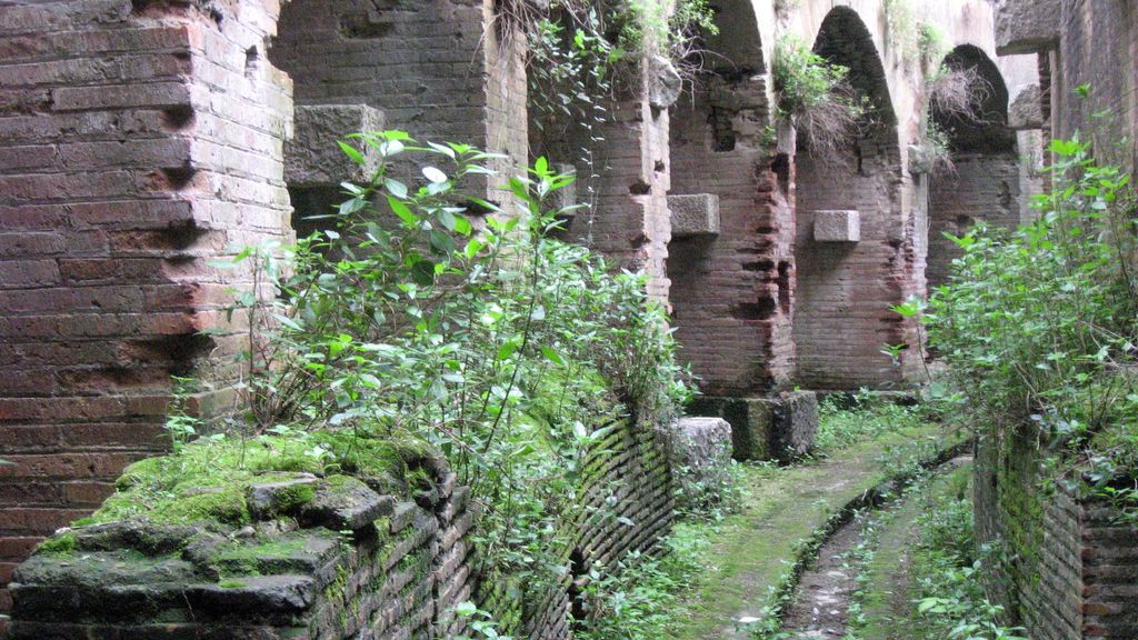 La maleza se apodera lentamente del coliseo donde luchó Espartaco.