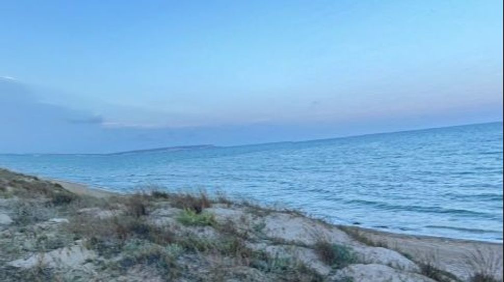 Playa de la Marina, Elche