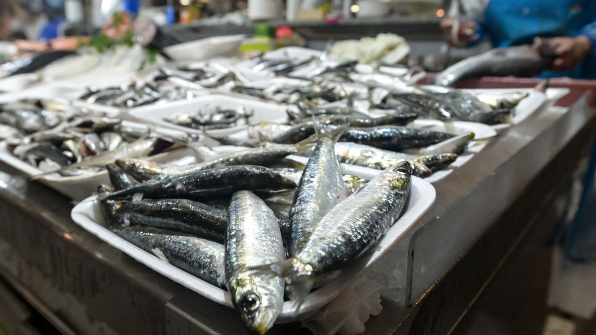 Sardinas a la venta en el mercado de la plaza de Lugo con motivo de la fiesta de San Juan