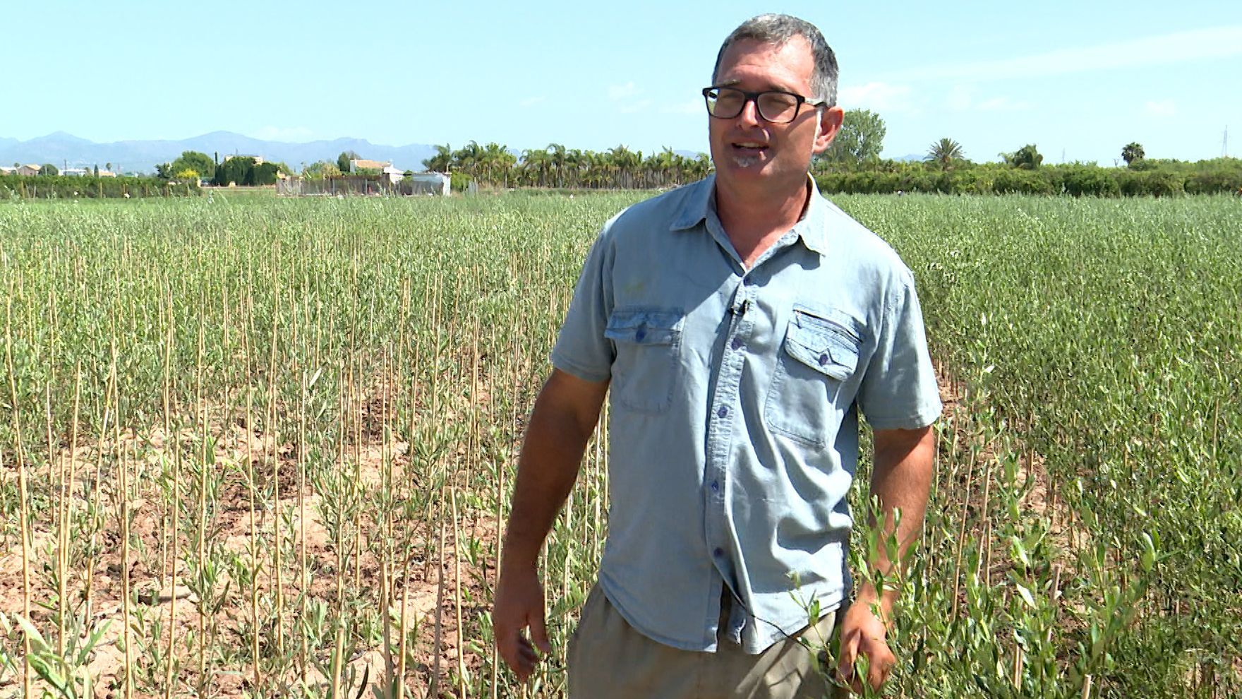 Pepe Bellver en su vivero