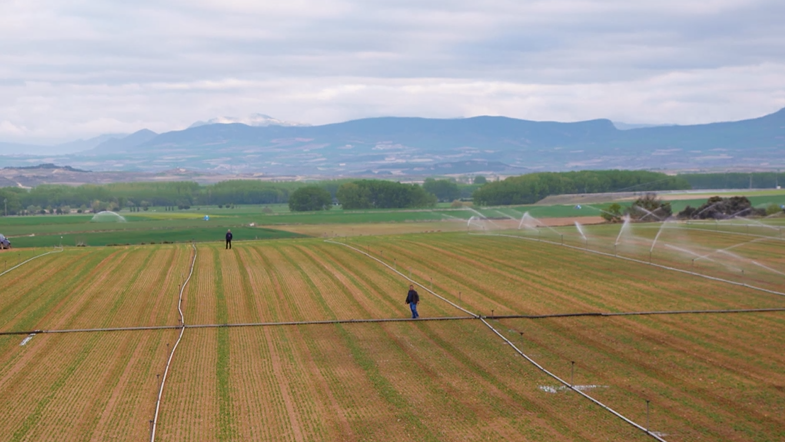 Viñedos en Haro, La Rioja