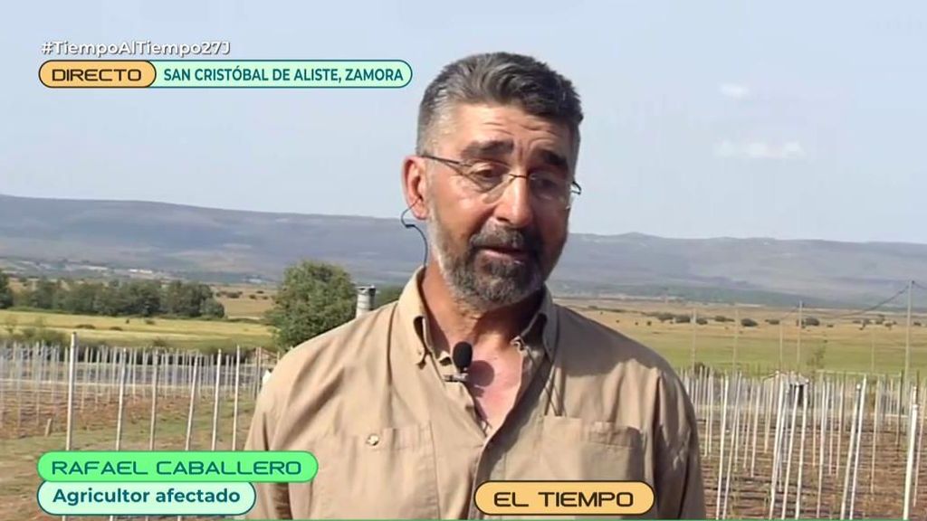 El granizo se ceba con el campo en Zamora: “Estamos atormentados”