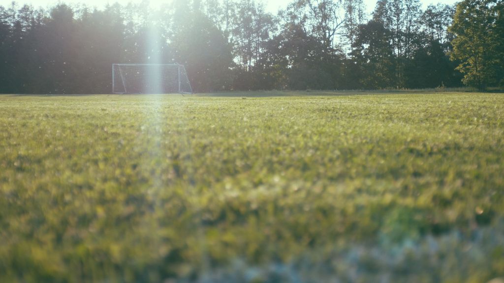 Un gigantesco socavón de más de 30 metros de ancho aparece entre unos campos de fútbol en Illinois