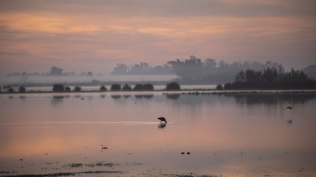 Doñana se encuentra en la zona donde habitó la civilización antigua de Tartessos