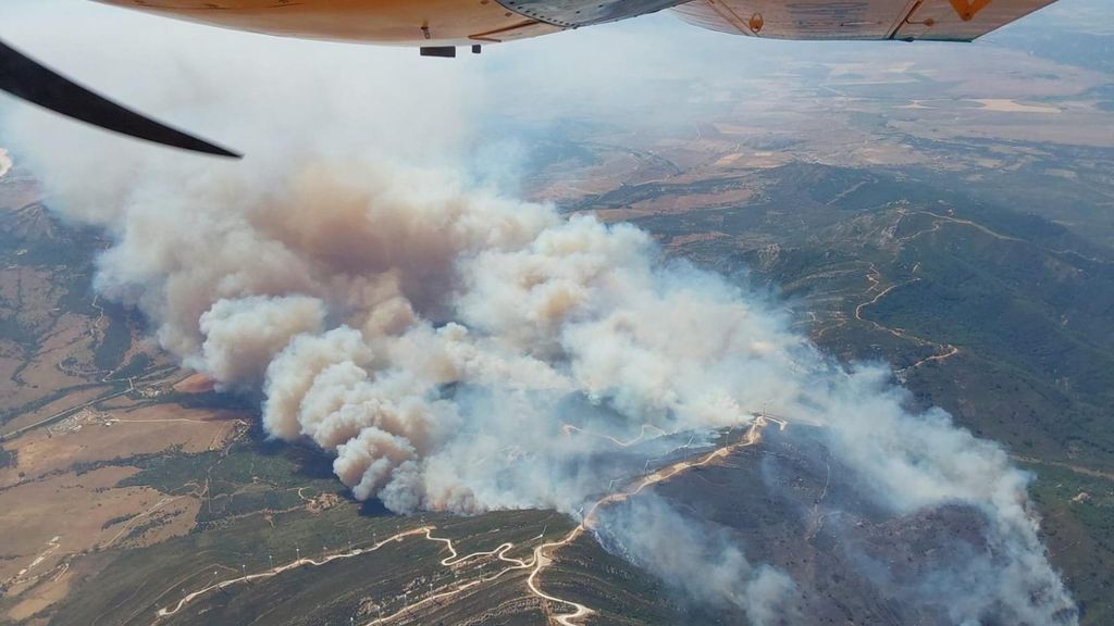 Incendio en el paraje monte La Peña, en el término municipal de Tarifa (Cádiz).