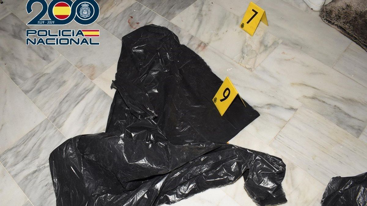 Detenido por torturar y asesinar a un hombre en su domicilio de Marbella en 2022