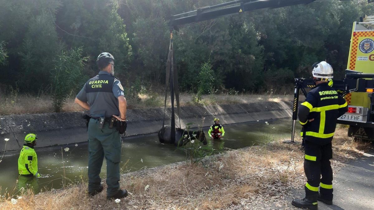 Bomberos y Guardia Civil en el rescate de una yegua atrapada en un canal de agua en San Roque.