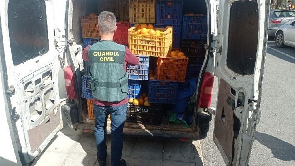 La Guardia Civil detiene a ocho personas por el robo de 25.000 kilos de naranjas tras interceptar un furgón en Carmona (Sevilla)