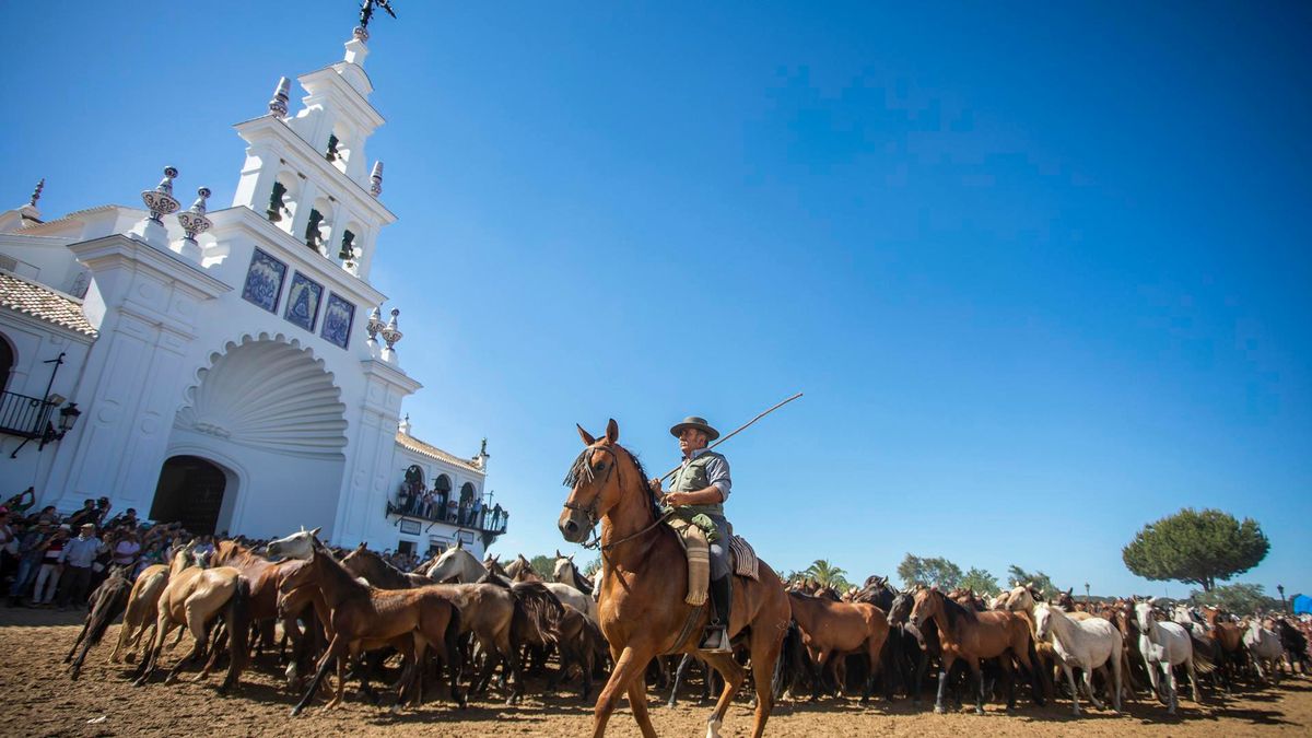 Archivo - La tradicional Saca de las Yeguas de Doñana a su paso por la aldea de El Rocío en una imagen de archivo.