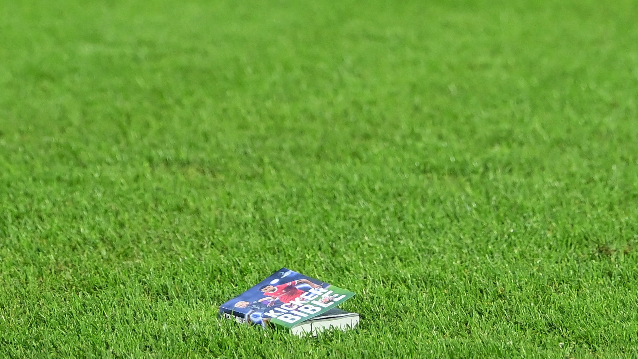 Avistamiento de libro en campo de fútbol. Ocurrió durante el último partido Inglaterra-Eslovenia, de la Eurocopa.