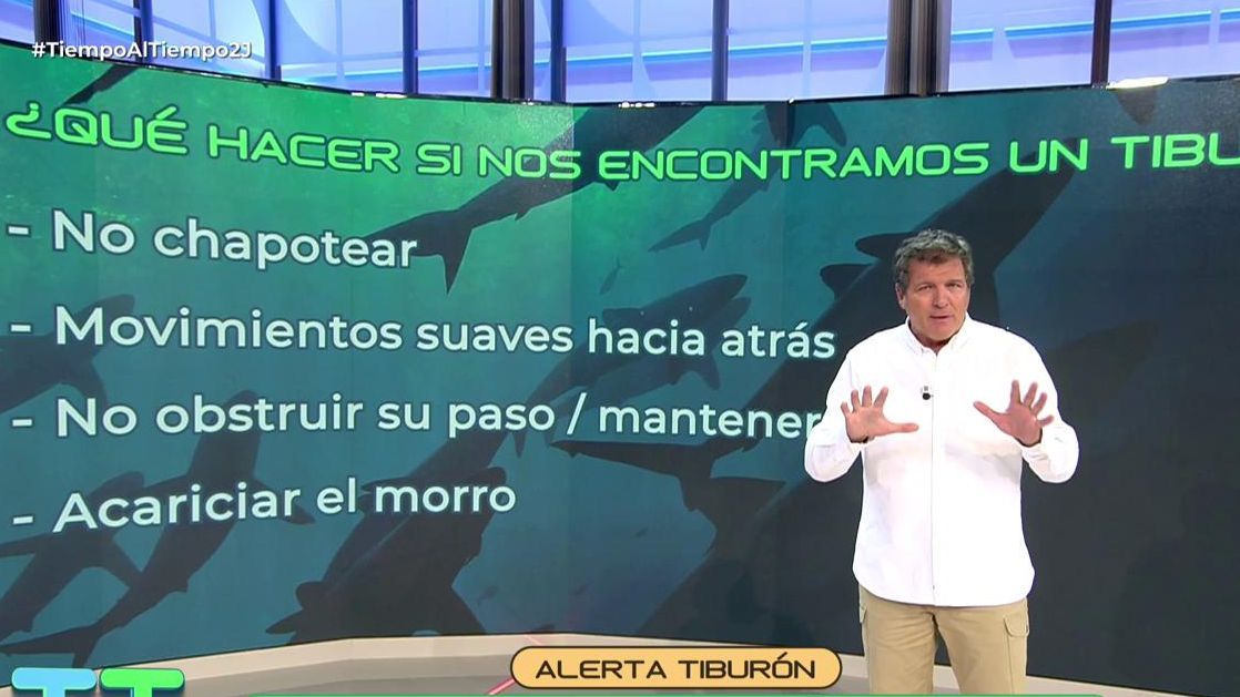 Precauciones si nos encontramos con un tiburón