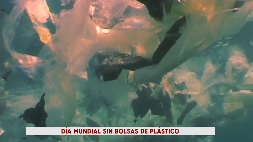 Día Internacional Libre de Bolsas Plásticos