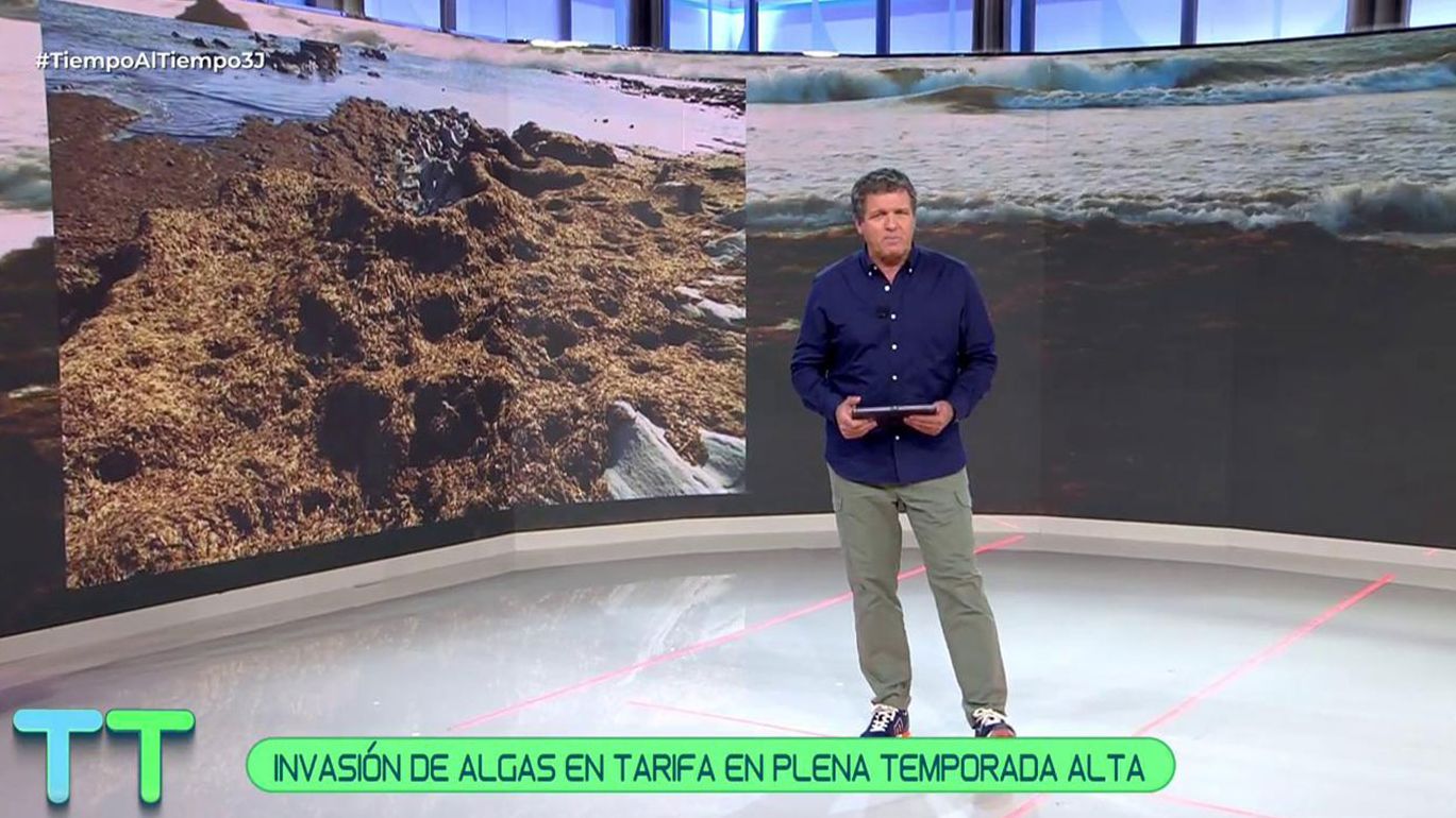 Ver Tiempo al tiempo 03.07.2024