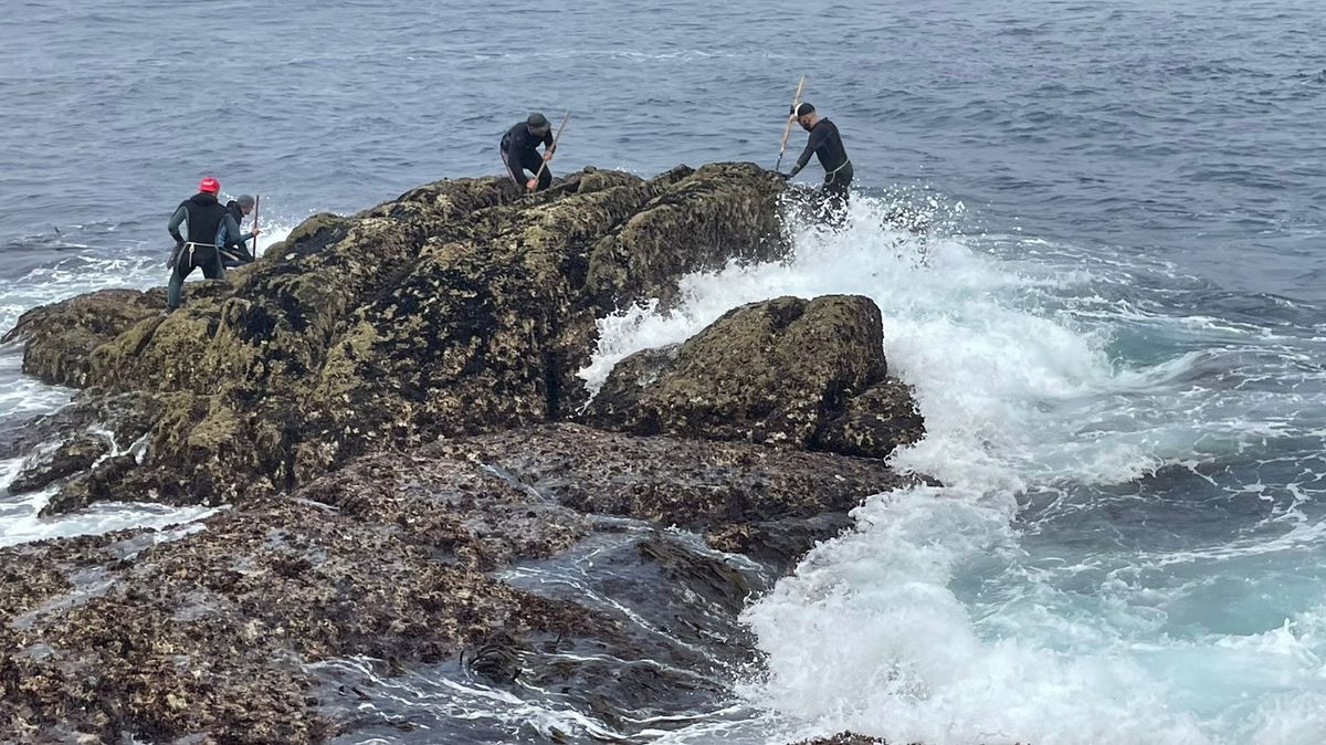 Los percebeiros de Corme se juegan la vida a menudo para extraer los percebes más cotizados del mundo