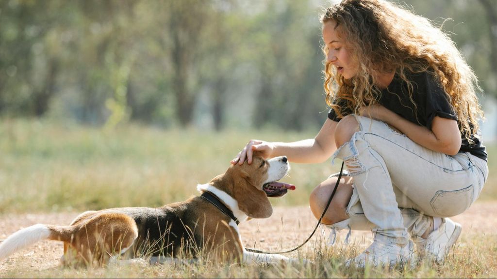 Un perro atado con una correa