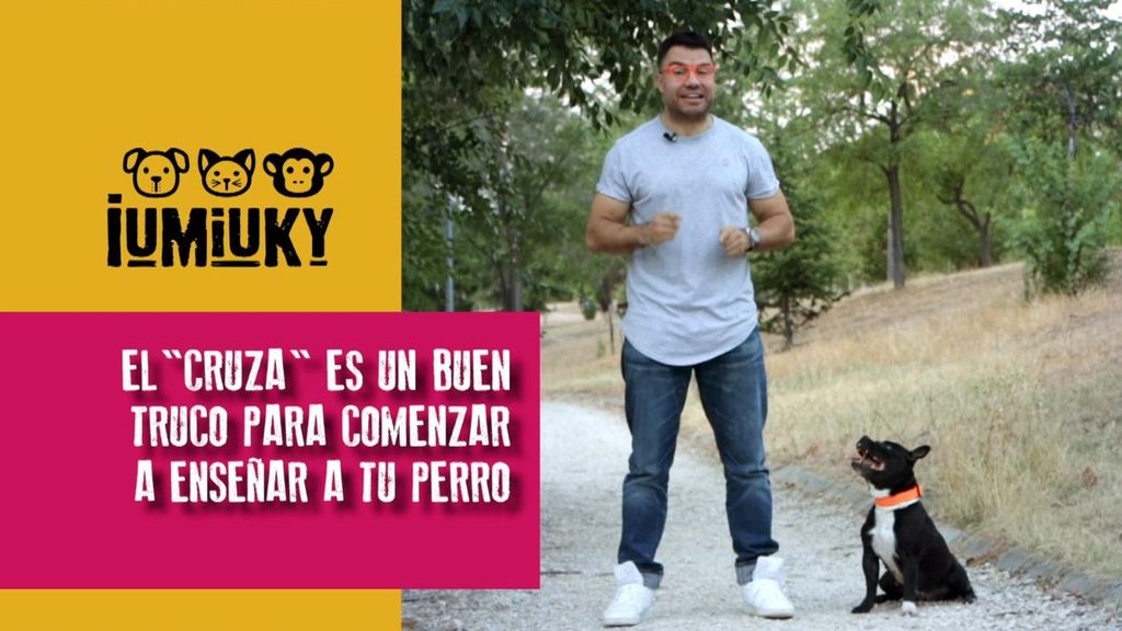 Consejos para el entrenamiento con tu perro Iumiuky Temporada 3 Programa 222