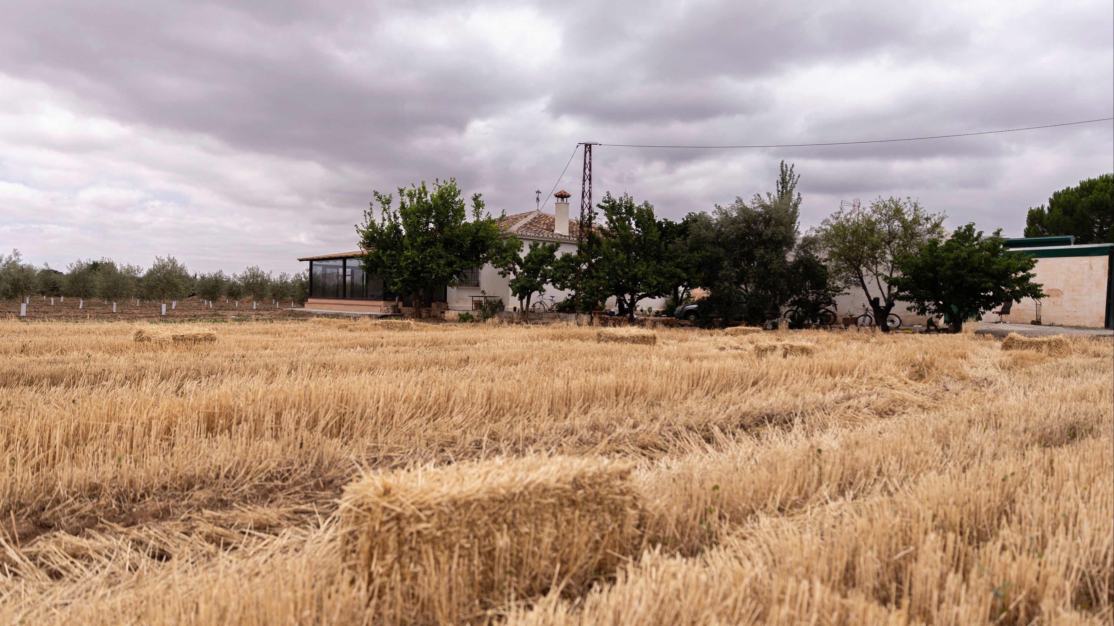 El detenido por asesinar a su pareja en Antequera pasará a disposición judicial este lunes El detenido por asesinar a su pareja en Antequera pasará a disposición judicial este lunes