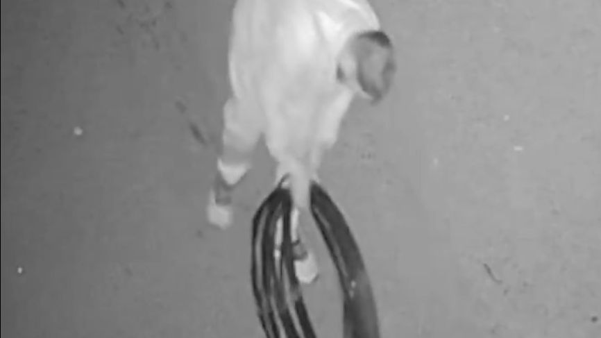 Ladrón de cables de cobre grabado por cámaras