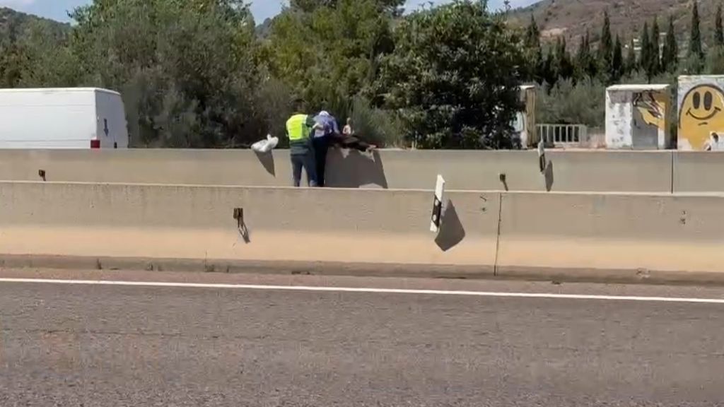 Un Guardia Civil fuera de servicio ha evitado así el atropello de una persona mayor en la autovía a-23