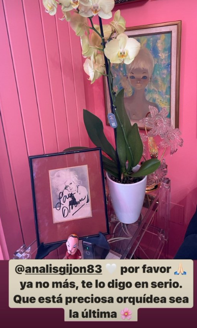 La petición de Alaska a su fan