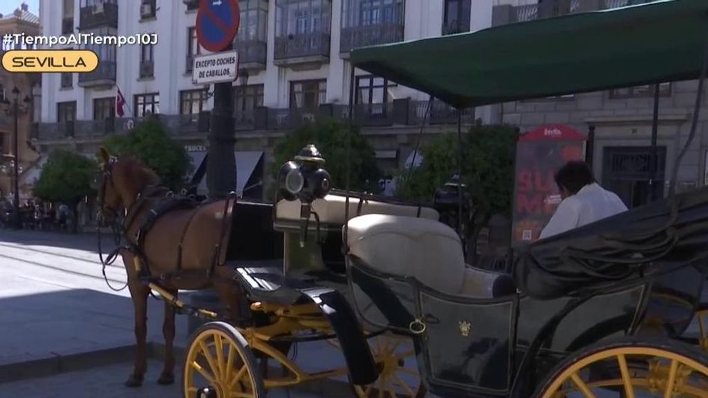 Uno de los carruajes en Sevilla con altas temperaturas