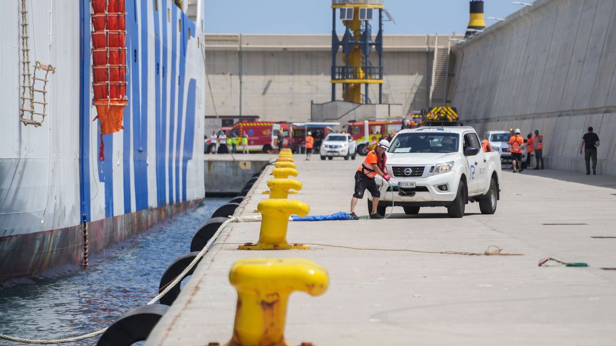 Trabajadores preparan la llegada del buque de la naviera GNV ‘Tenacia’a su llegada al Puerto de Valencia