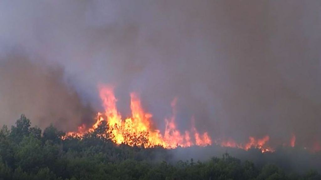 La restauración de las 30.000 hectáreas devoradas por el fuego en la sierra valenciana de Cortes de Pallás