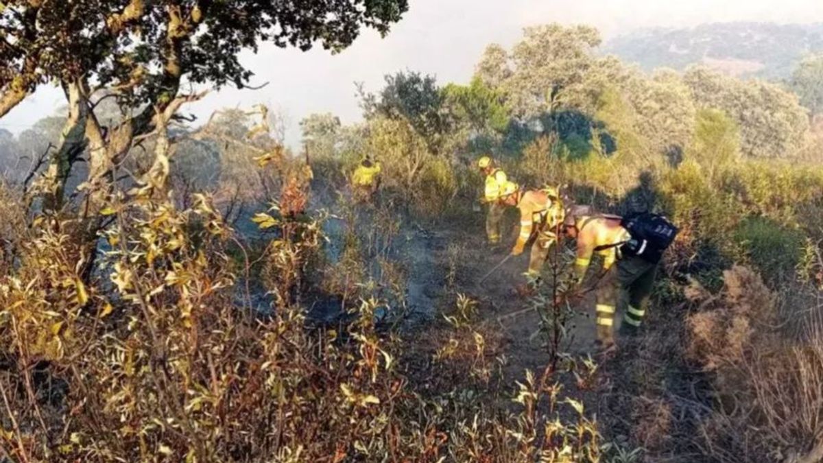 Desplegados más de 150 profesionales y 14 medios aéreos en el incendio de Obejo, Córdoba