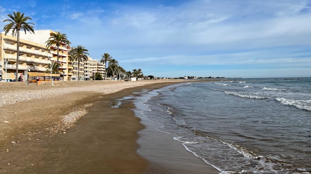 Apareció en la playa Torrenostra de la localidad castellonense de Torreblanca cuando estaba llena de bañistas