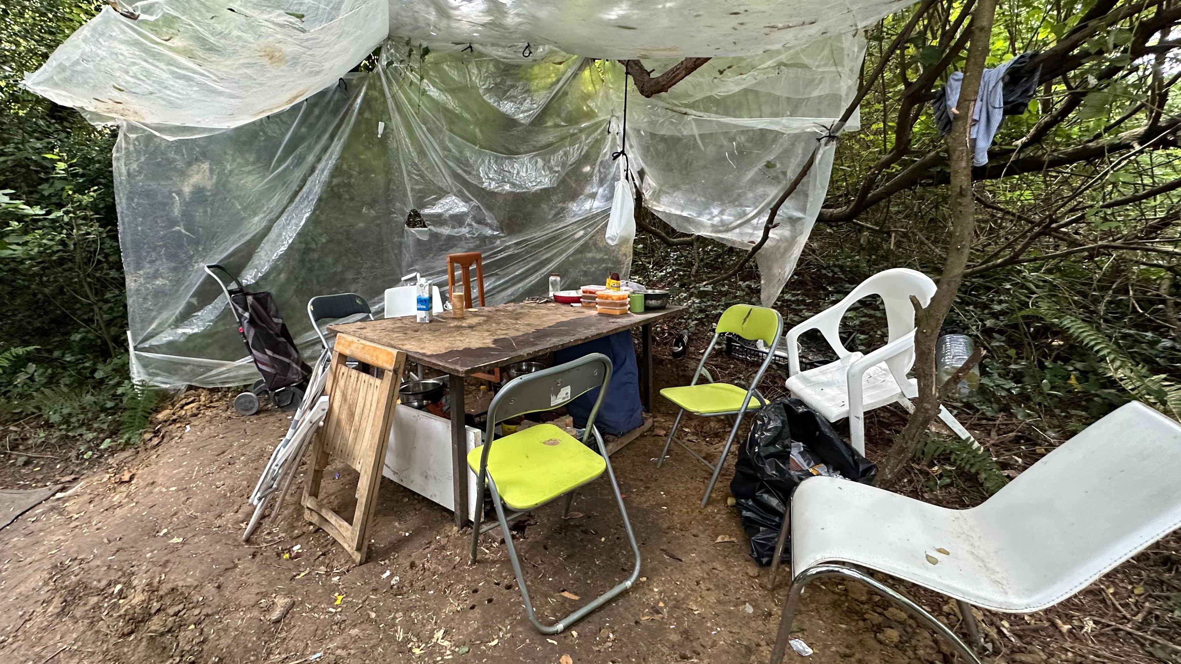 Sin un lugar donde dormir, llevan meses acampados en la espesura del bosque