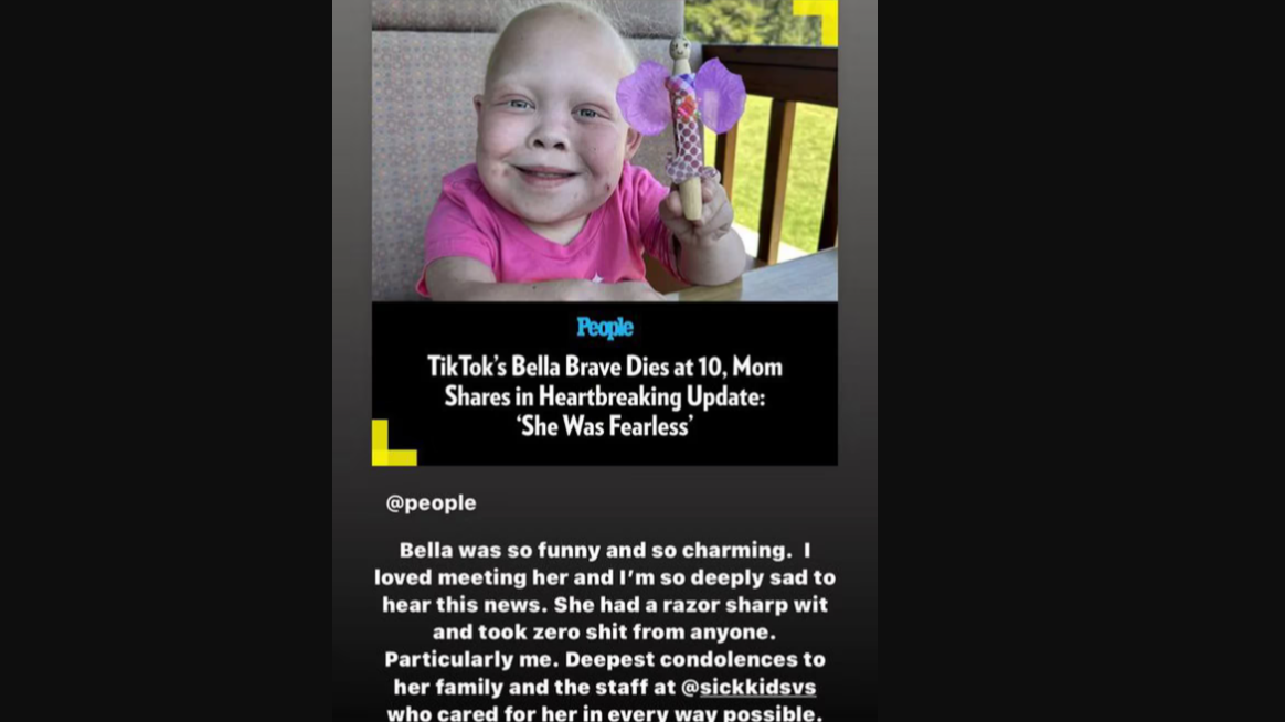 Story de Ryan Reynolds en recuerdo de Bella Brave