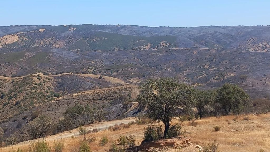 El Infoca da por extinguido el incendio forestal de Obejo, en Córdoba, que se originó en el Campo de Tiro de Cerro Muriano