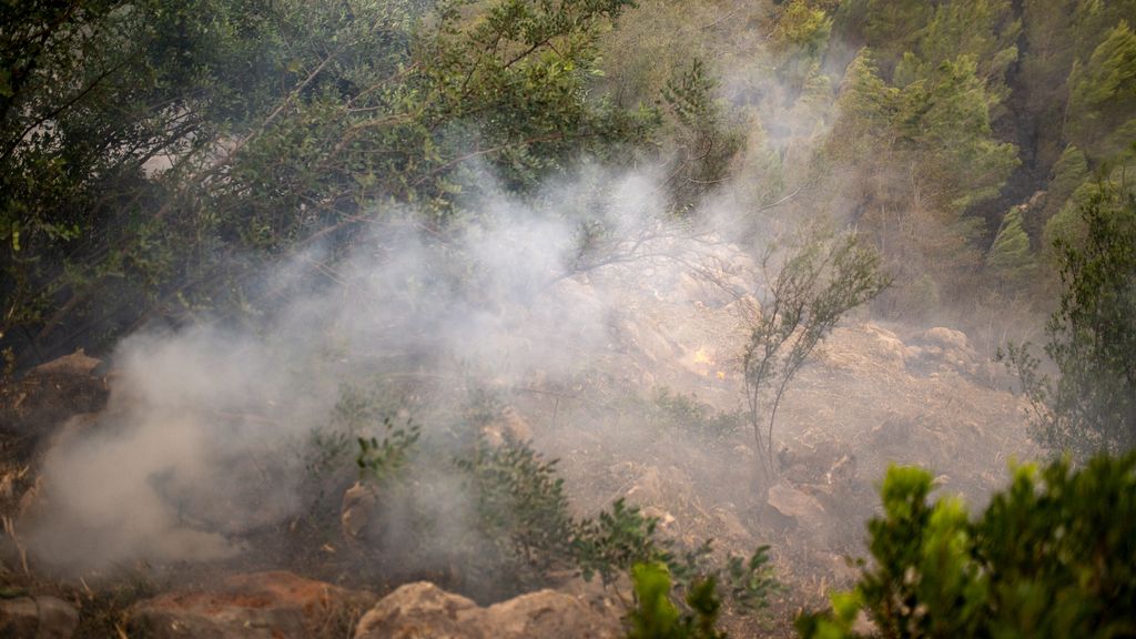 Una planificación que considere el riesgo de incendios reduciría el impacto económico y social