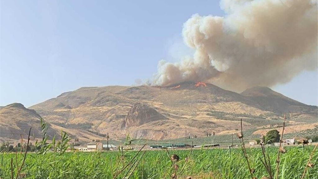 Incendio declarado en Pinos Puente, en Granada