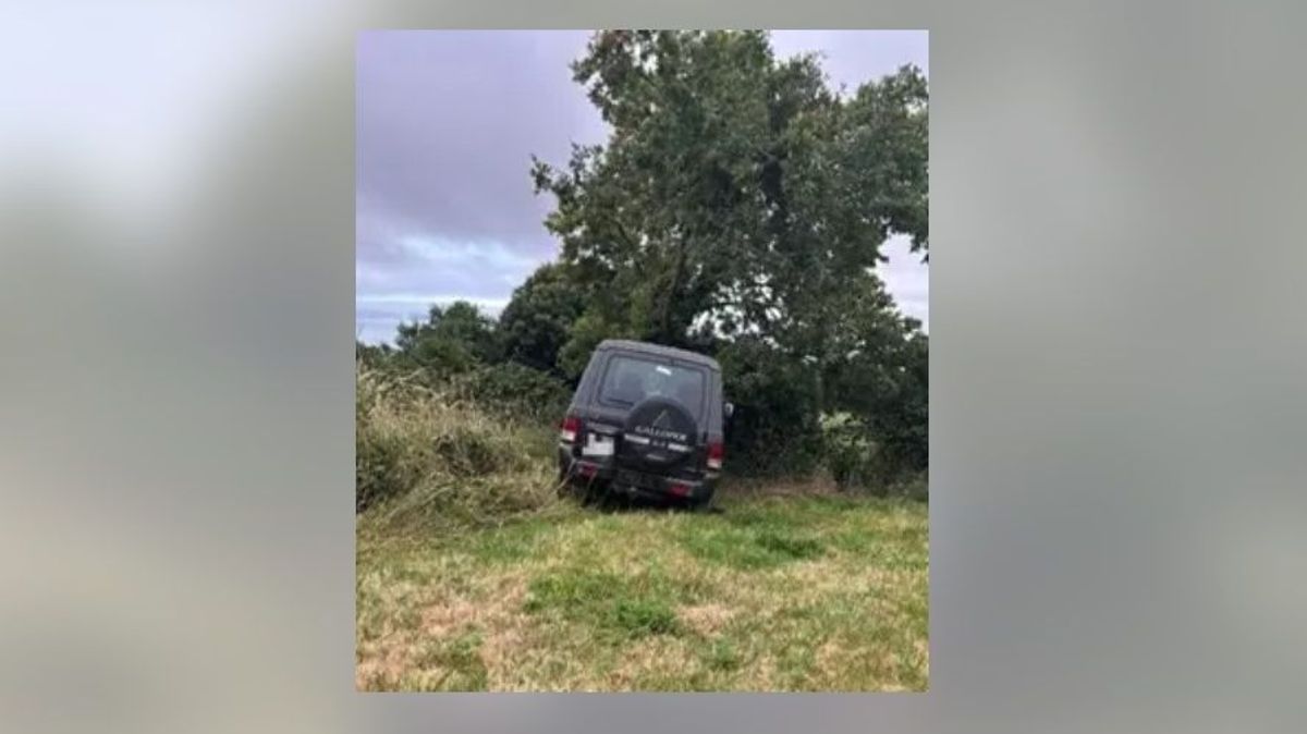 Todoterreno estrellado con un árbol en Abadín, Lugo