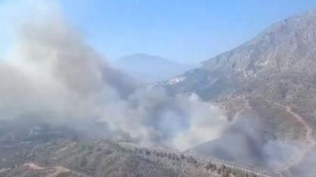 Declarado un incendio forestal en Marbella, en Málaga