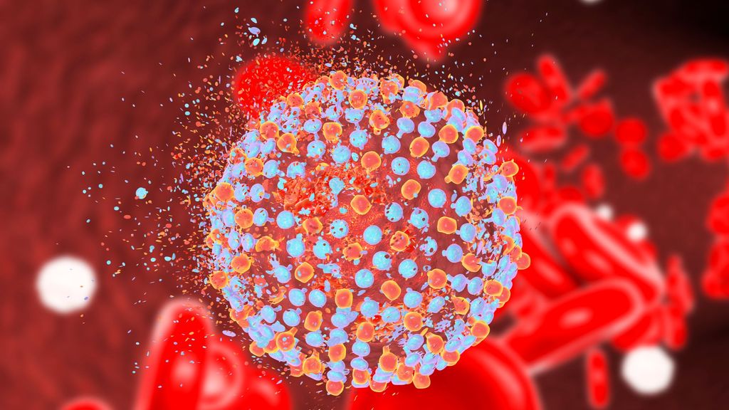 Virus de Hepatitis C