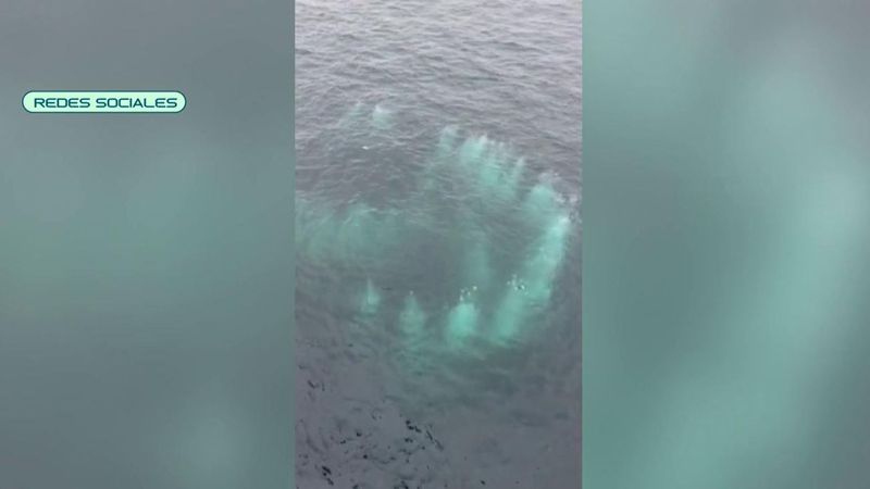 El misterio detrás de las burbujas en el océano: lo que provoca este