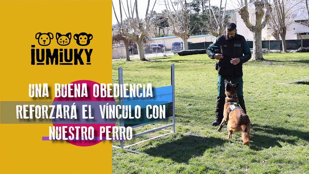 El control y la obediencia Iumiuky Temporada 3 Programa 225