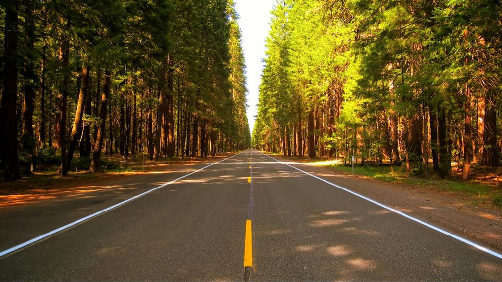 Una carretera rodeada de árboles