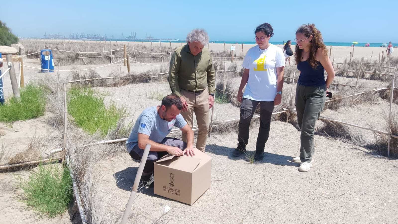 El director general de Medio Natural y Animal, Raúl Mérida, se desplazó hasta la playa para presenciar la liberación del chorlitejo patinegro