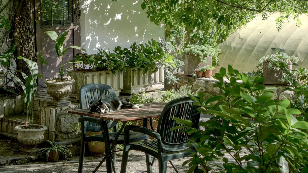 terraza con plantas y mesa con sillas obin wersich Q0IrpWQIMR4 unsplash